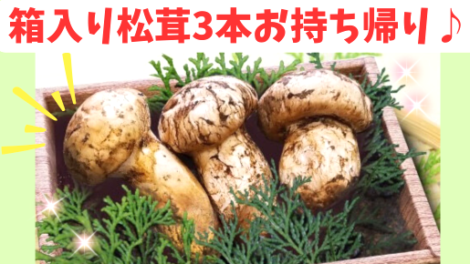 <Web割対象商品>【キングツアーバス旅】秋の味覚!ぶどう3種食べ放題と松茸づくしの昼食&箱入り松茸3本お持ち帰り♪ノスタルジックな廃線跡大日影トンネル〔新宿・吉祥寺発〕3